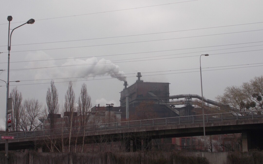 Ekologia nie dla elity