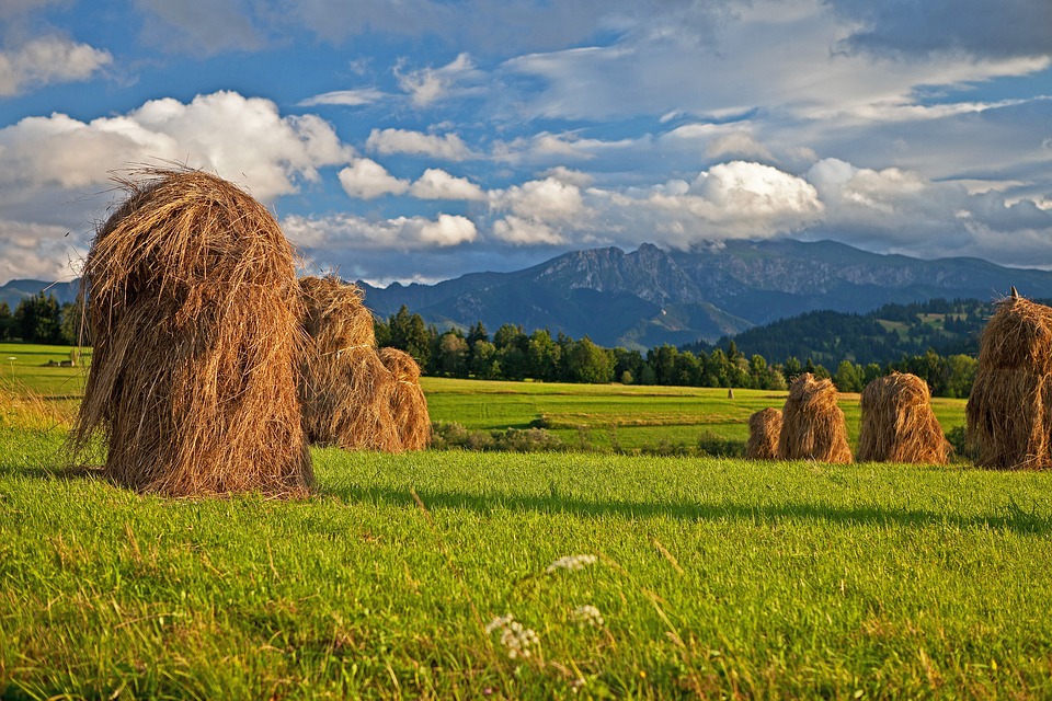 Coś dla rolników