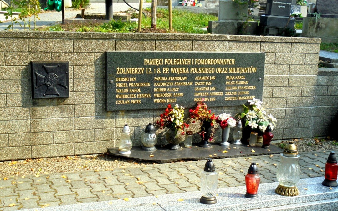 Zawiedli nas sromotnie (1919)