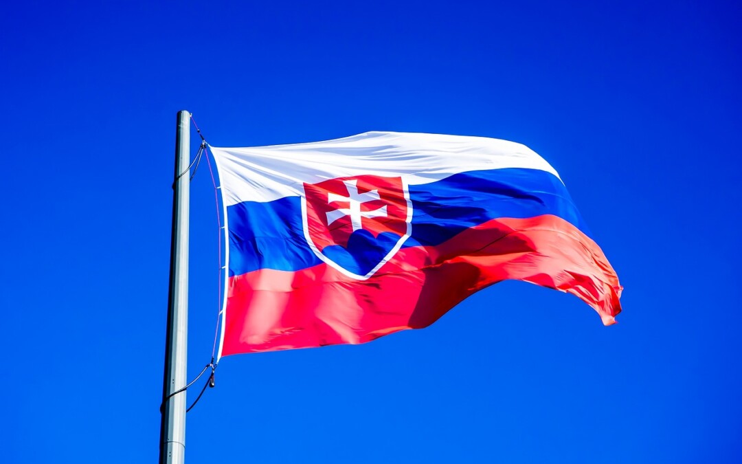 Primitívny volič idzie na wybory