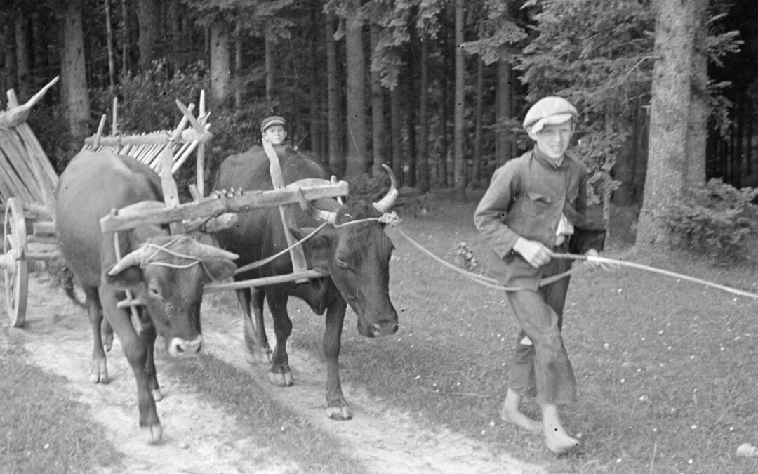 Halina Krahelska: Troska o młodzież (1933)