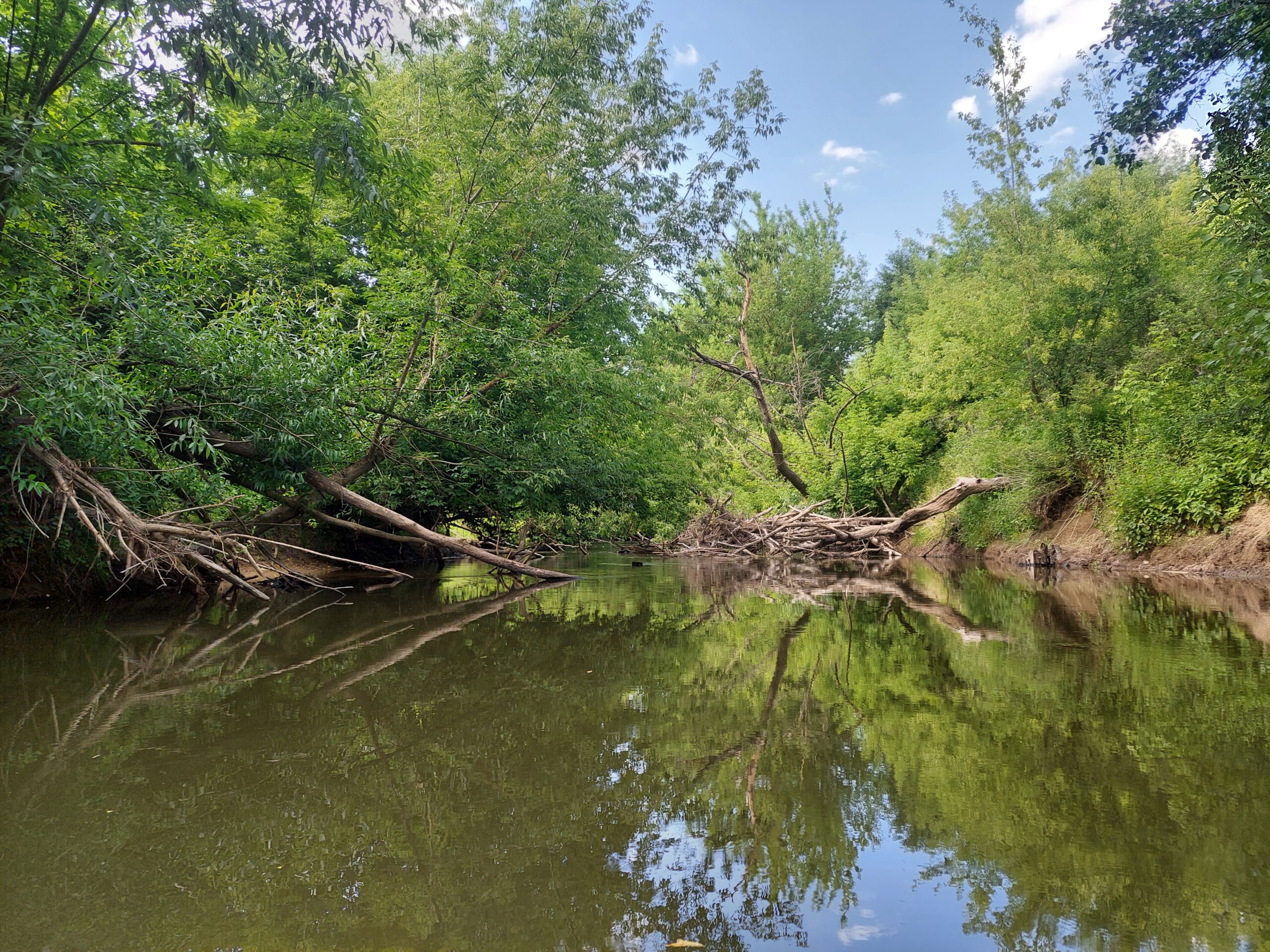 Burmistrz przeciw UNESCO
