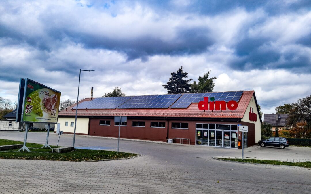 Związek kontra sieć